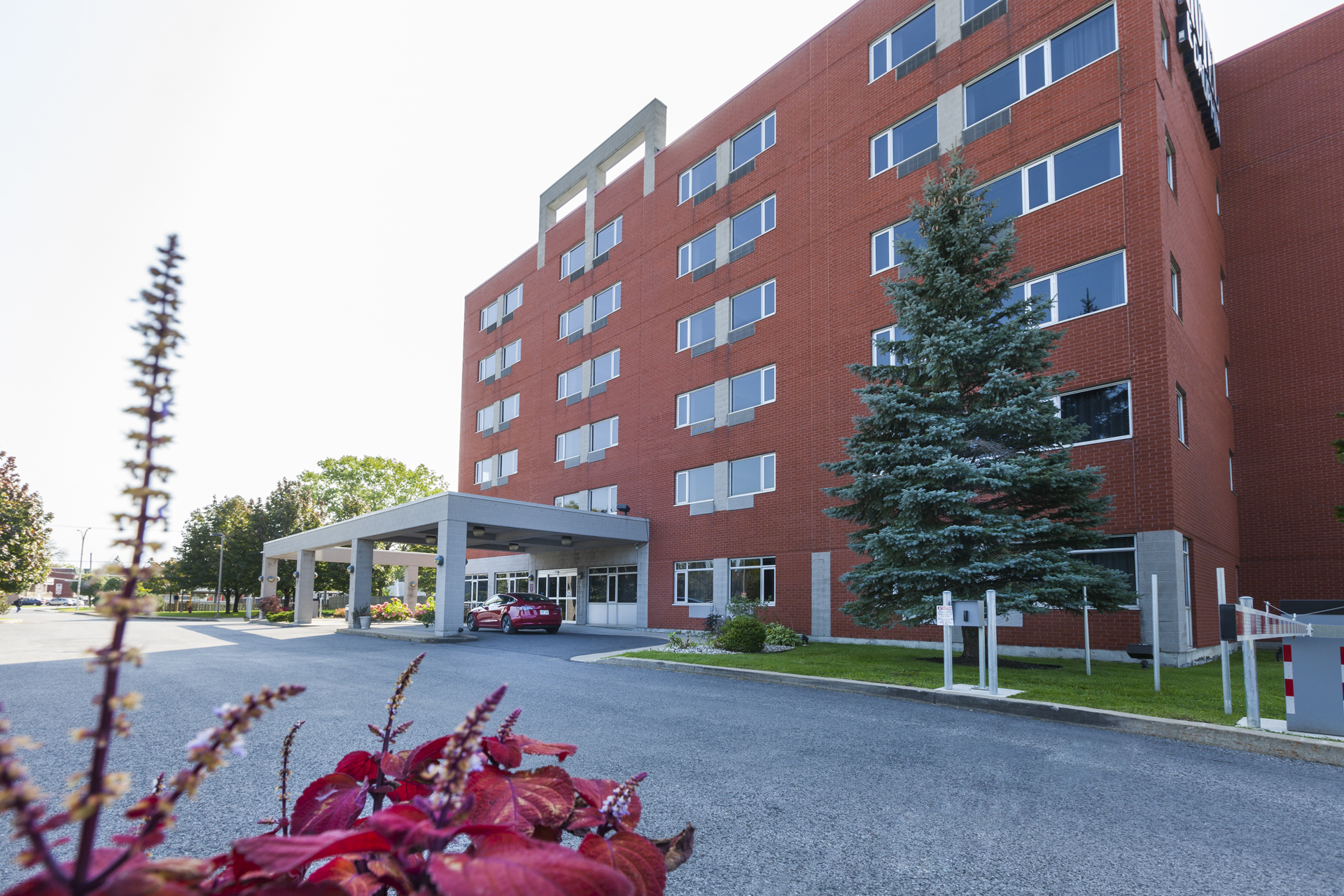 Photos MontréalLongueuil Le Dauphin vous offre le maximum à coût